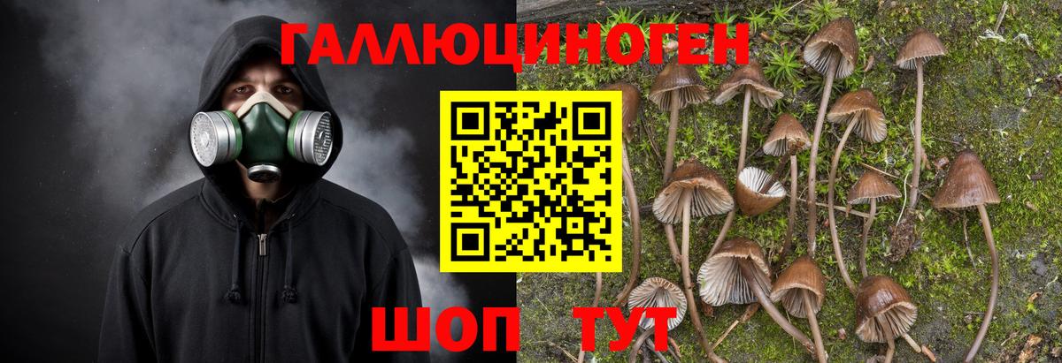 Псилоцибиновые грибы Magic Shrooms Советская Гавань