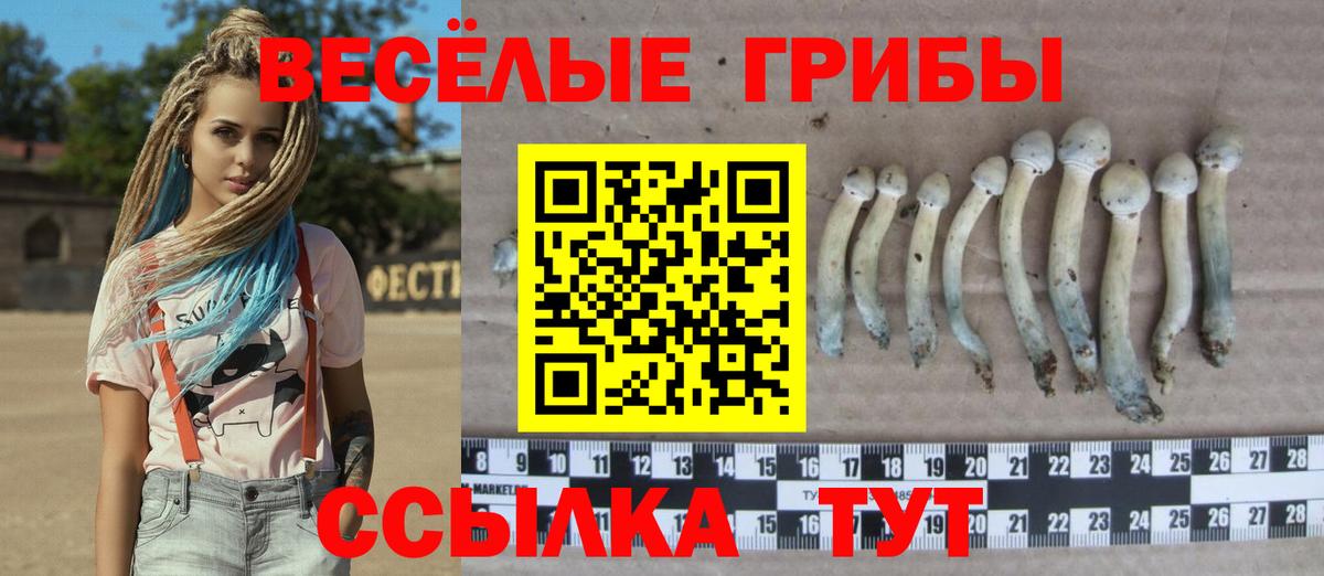 Галлюциногенные грибы ЛСД  Вход с VPN  Советская Гавань 